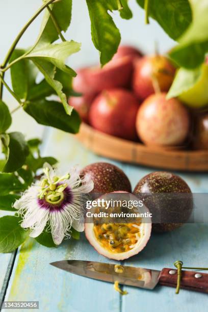 geschnittener querschnitt einer frisch gepflückten passionsfrucht. - maracuja stock-fotos und bilder