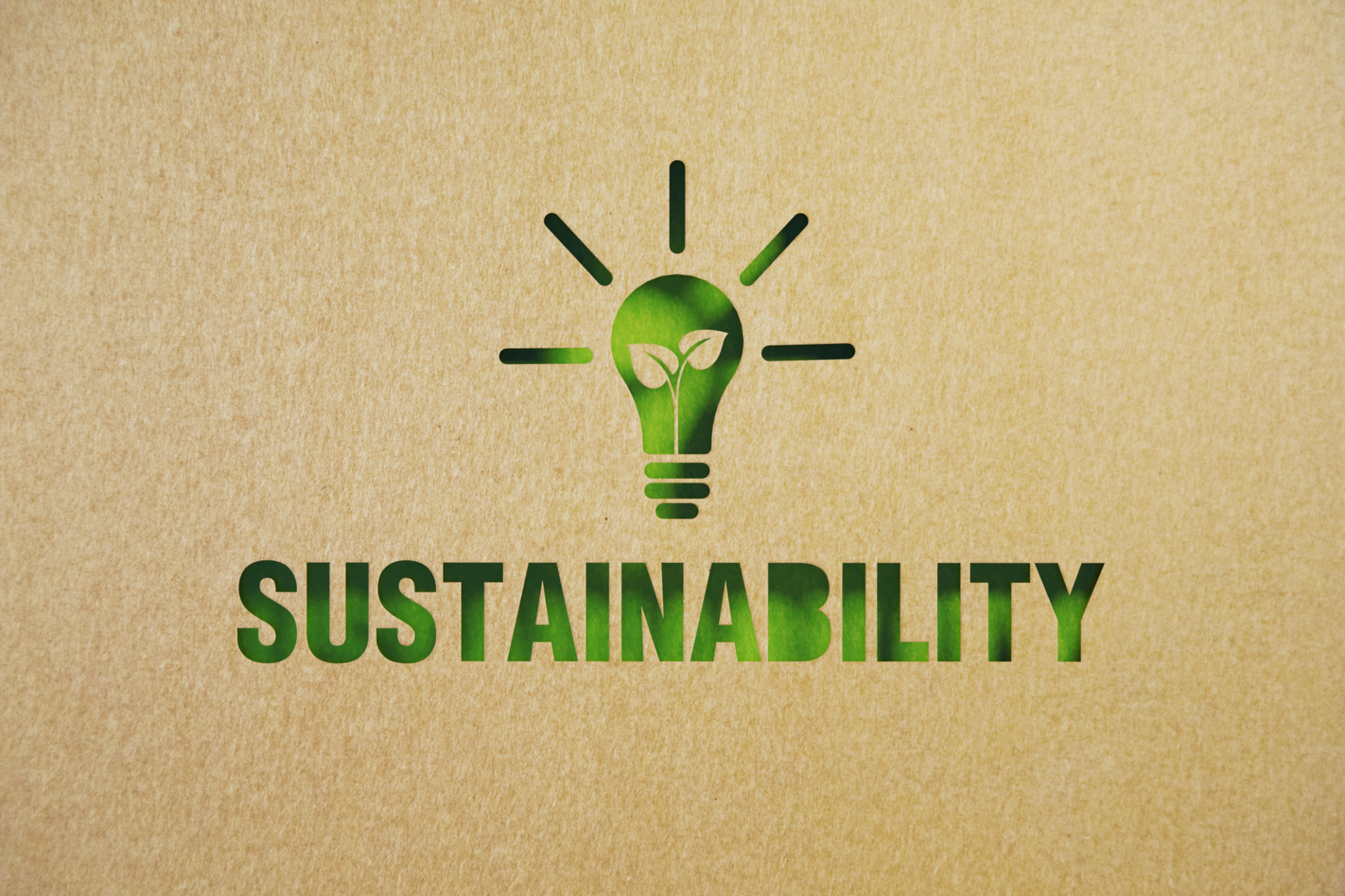 Sustainability Concept - Cut Out Light Bulb Made of Recycled Paper On Green Background Sustainability Concept - Cut Out Light Bulb Made of Recycled Paper On Green Background