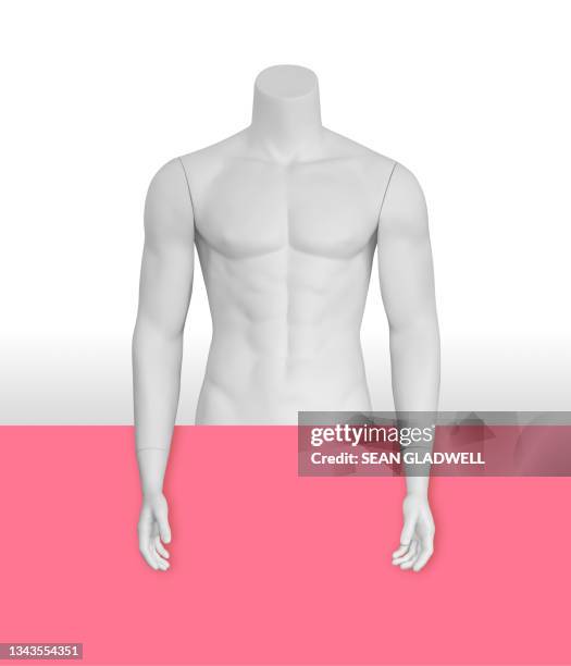 mannequin torso in front of pink panel - manikin arm stock pictures, royalty-free photos & images