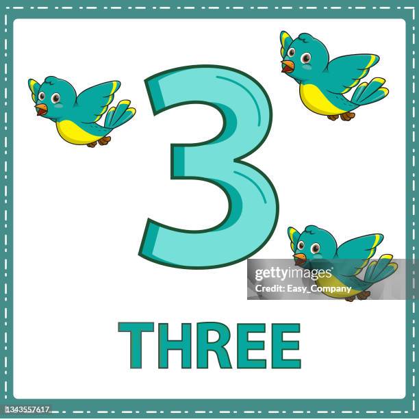 ilustrações, clipart, desenhos animados e ícones de ilustrações para educação numérica para crianças pequenas. para as crianças aprendi a contar os números 3 com 3 aves como mostrado na foto na categoria animal. - grupo pequeno de animais
