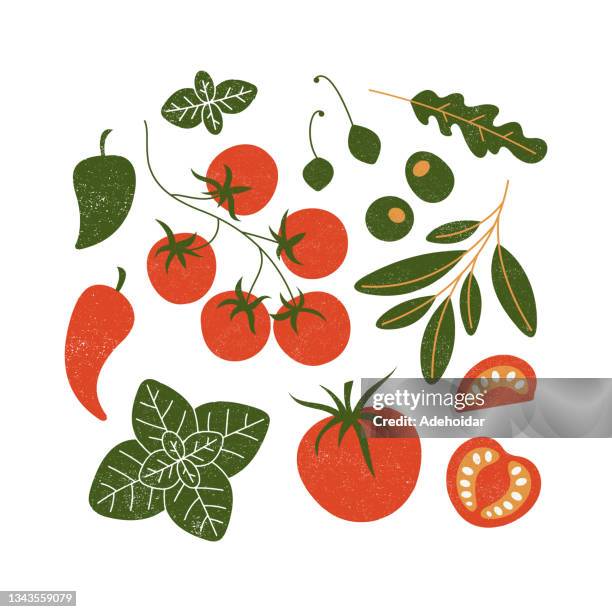 various food illustrations. tomatoes, olives, basil, chili peppers, arugula, capers. retro texture. vector illustration. vector illustration - fruits and vegetables isolated stock illustrations