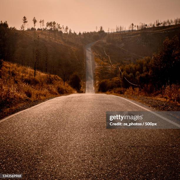 scenic view of road amidst trees against sky during sunset,castelo branco,portugal - distrikt castelo branco portugal stock-fotos und bilder