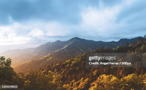 scenic view of mountains against sky,north carolina,united states,usa - north carolina photos et images de collection