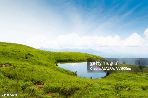 scenic view of green landscape against sky,chembra,kerala,india - daily life in kerala stock-fotos und bilder