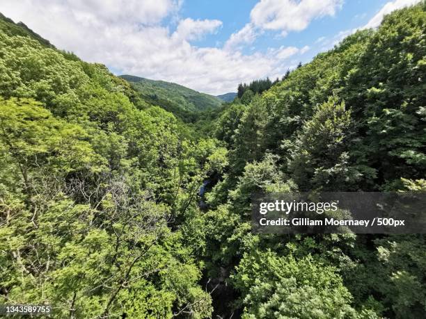 scenic view of forest against sky,le chaumel et combette,france - voyage et restauration stock-fotos und bilder