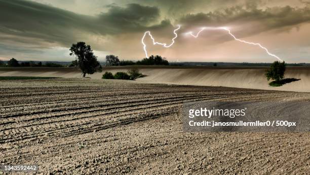 scenic view of field against sky,hungary - hungary countryside stock pictures, royalty-free photos & images