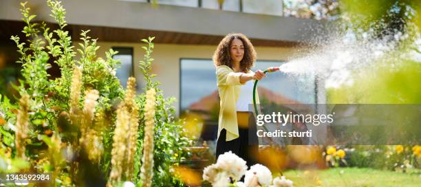 watering the garden - garden hose bildbanksfoton och bilder