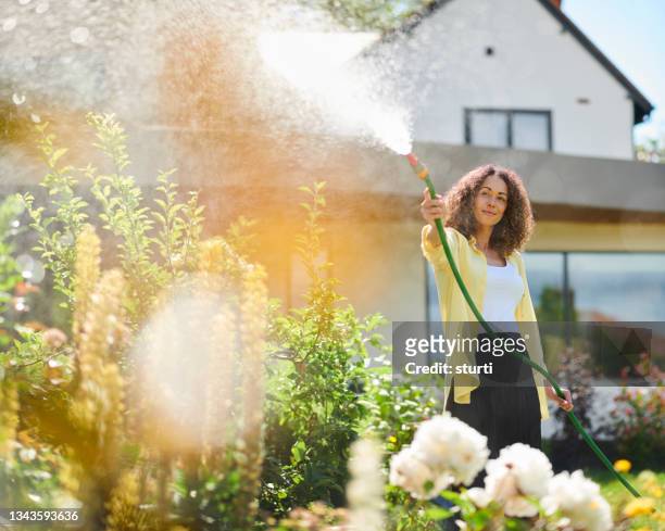watering the garden - garden hose stock pictures, royalty-free photos & images