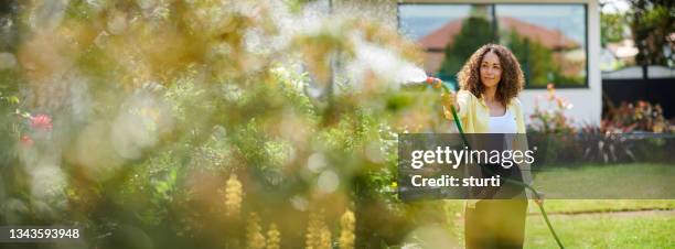regando el jardín - manguera fotografías e imágenes de stock