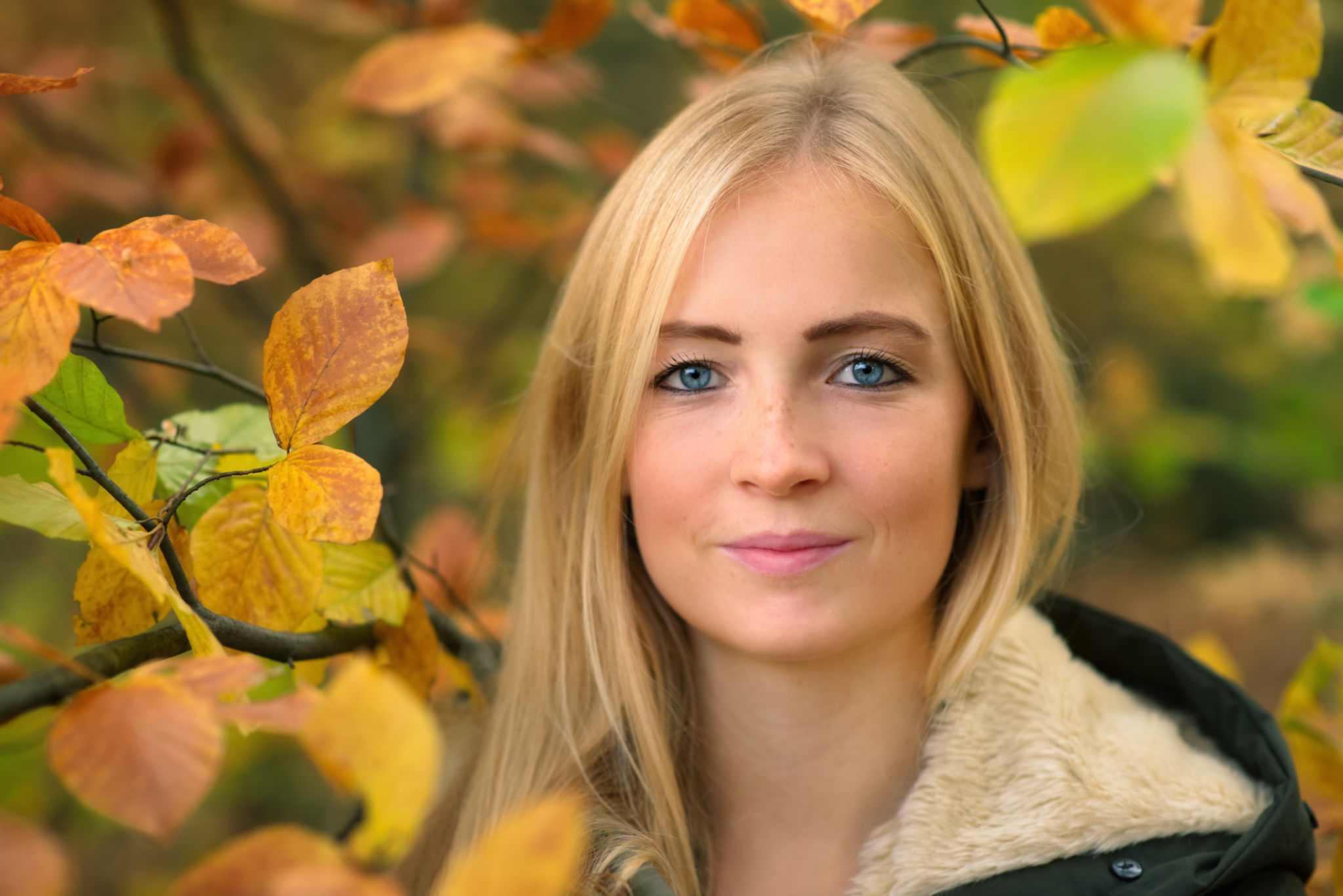seasonal portrait photography