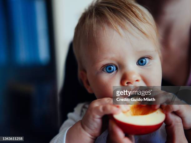 baby eating a red apple. - taste test stock pictures, royalty-free photos & images