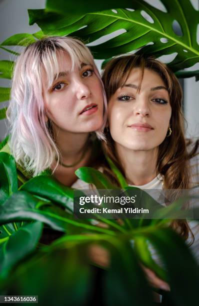 portrait of young friends embracing each other - girl band stock pictures, royalty-free photos & images