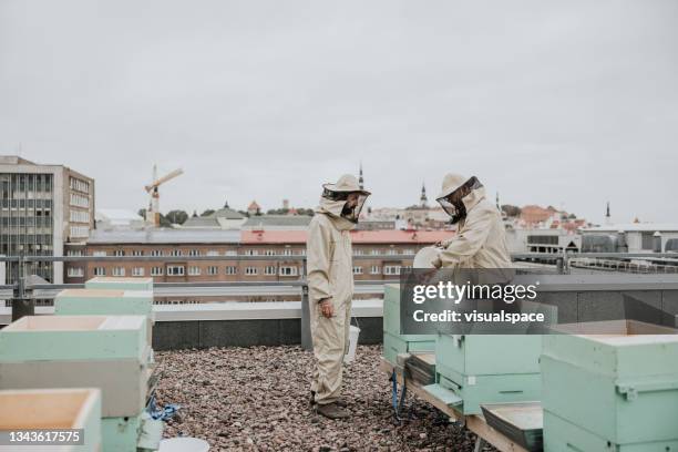 städtische imker arbeiten auf dem dach der stadt - beekeeper stock-fotos und bilder