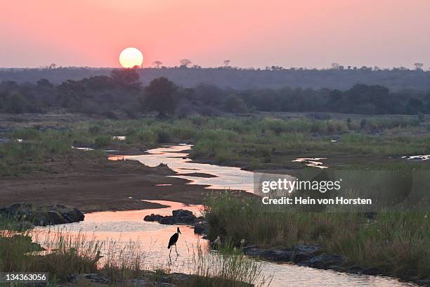 sunset over olifant's river in kruger national park, south africa - olifant fotografías e imágenes de stock
