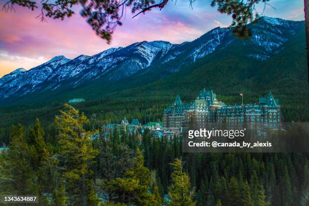 pink and purple sunset over fairmont banff springs - banff springs hotel stock pictures, royalty-free photos & images