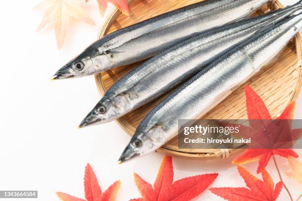 pacific saury - saury stock pictures, royalty-free photos & images