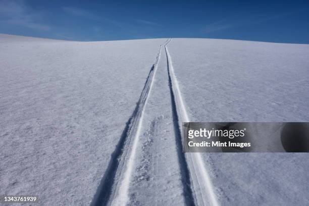 sled tracks on snow. - tyre track stock pictures, royalty-free photos & images