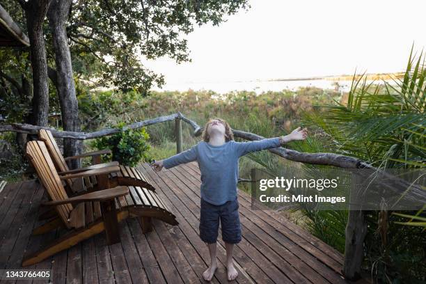 young boy on a viewing terrace in a permanent camp in the okavango delta, botswana. - camping botswana stock pictures, royalty-free photos & images