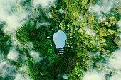 A bulb-shaped lake in the middle of a lush forest, symbolizing fresh ideas, inventiveness and creativity in relation to solving environmental problems. 3d rendering.