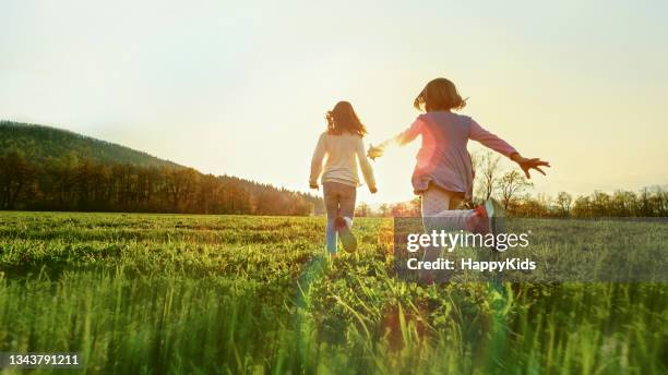 children running in a sunny meadow - child running back stock pictures, royalty-free photos & images