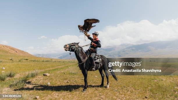 adlerjäger in tracht reitpferd mit steinadler in den bergen zentralasiens - kirgisistan stock-fotos und bilder