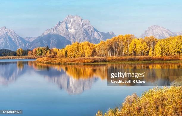 peak color in jackson hole wyoming in autumn - aspen tree stock pictures, royalty-free photos & images