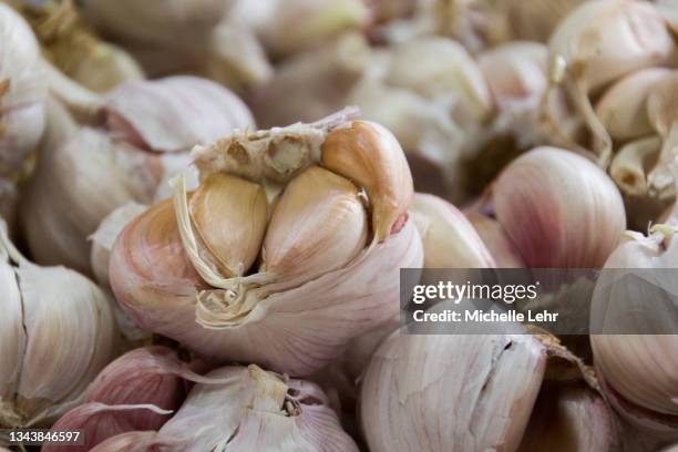 close-up of fresh food at city market 54 - garlic stock-fotos und bilder