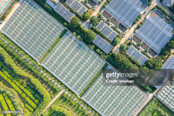 sewage treatment station with solar power station - city cleaning 個照片及圖片檔