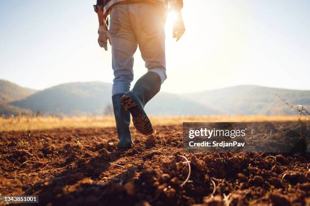agriculteur dans les champs - rancher photos et images de collection