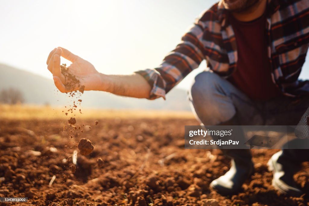 Ein nicht wiederzuerkennen Landwirt, der auf dem Feld arbeitet. Er analysiert sein Land.