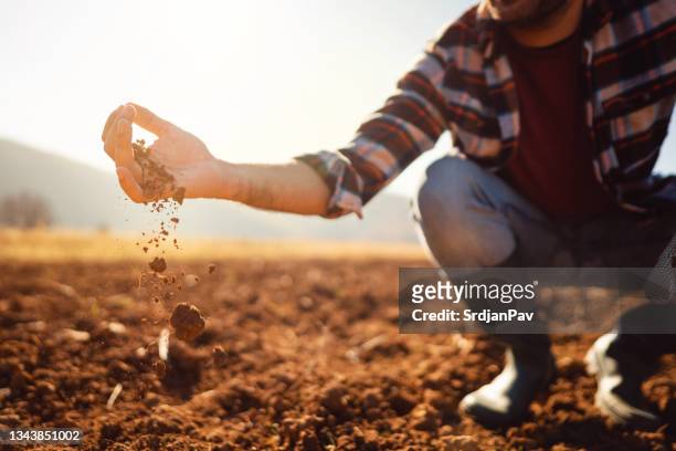 an unrecognizable farmer working in the field. he's analyzing his land. - aarde stockfoto's en -beelden