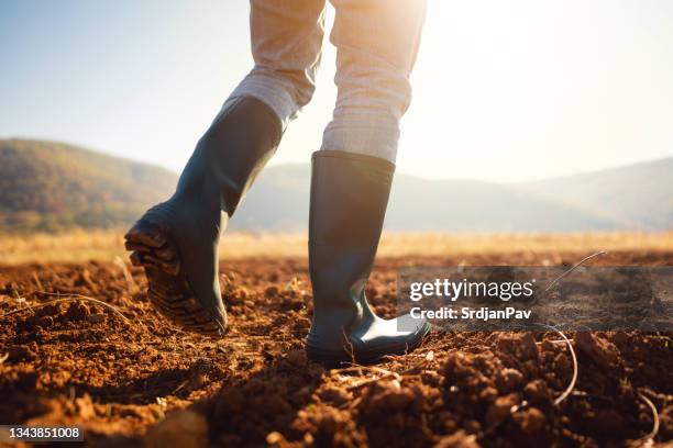 an unrecognizable farmer walking down the field in his rubber boots - rubberlaars stockfoto's en -beelden