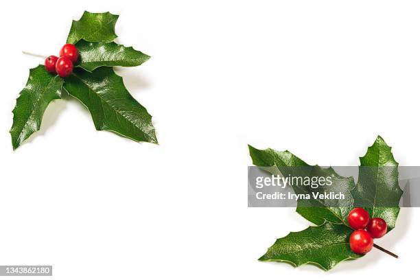 holly berry leaves christmas decoration. - holly ストックフォトと画像