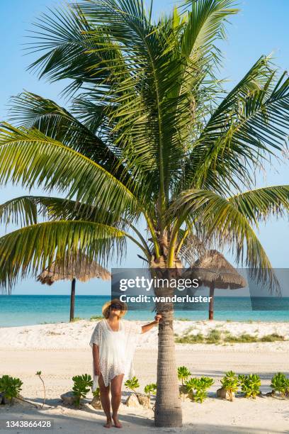 vacaciones tropicales - holbox island fotografías e imágenes de stock