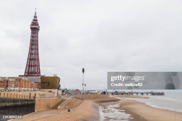 blackpool tower next to the central pier - blackpool tower stock pictures, royalty-free photos & images