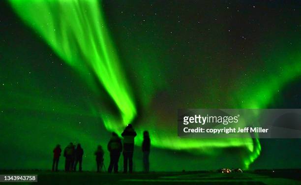 people on the deck of a ship are silhouetted by the aurora australis, southern ocean, antarctica. - southern lights foto e immagini stock