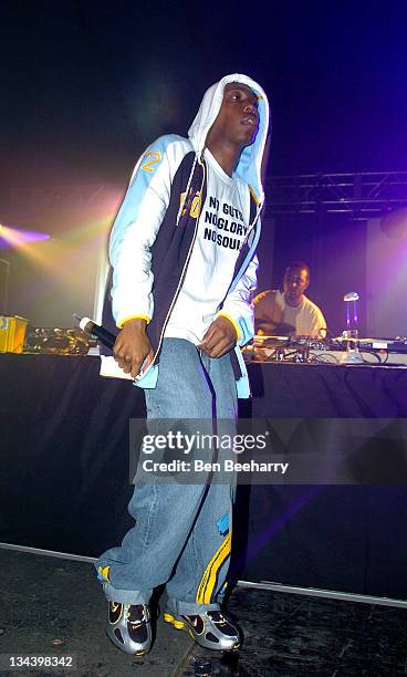 Dizzee Rascal during 2004 We Love Homelands at Matterley Bowl in Winchester, Great Britain.