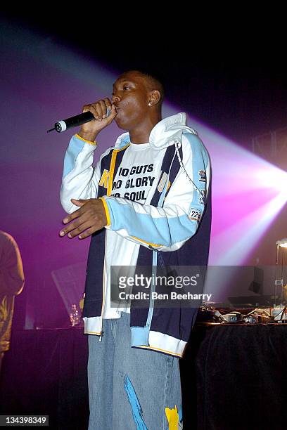 Dizzee Rascal during 2004 We Love Homelands at Matterley Bowl in Winchester, Great Britain.