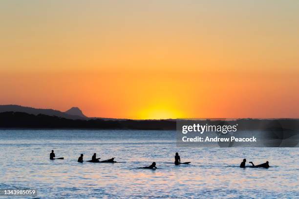 surfers wait for a wave at sunset. - noosa queensland stock pictures, royalty-free photos & images