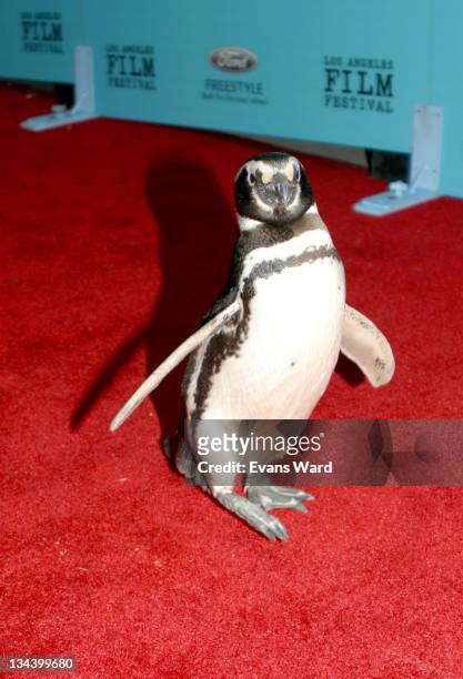 Magellanic Penguin from Sea World during 2005 Los Angeles Film Festival - "March Of The Penguins" Screening at John Anson Ford Amphitheatre in Los...