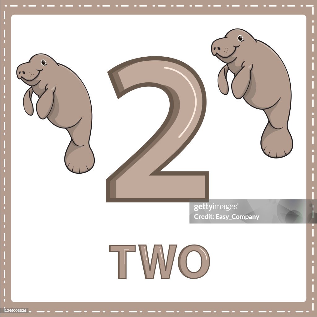 Illustrations for numerical education for young children. for the children Learned to count the numbers 2 with 2 dugongs as shown in the picture in the animal category.
