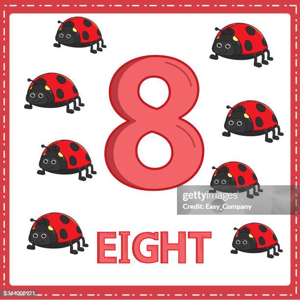 illustrations for numerical education for young children. so that children can learn to count the numbers 8 and 8 lady bug as shown in the picture in the animal category. - summer learning stock illustrations