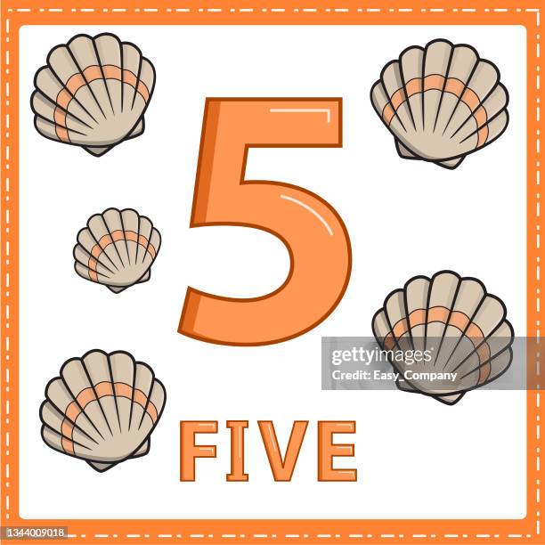 Count Shell Cartoon Cartoon Sea Shell Photos and Premium High Res Pictures - Getty Images