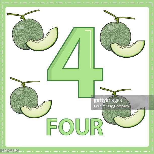 illustrations for numerical education for young children. for the children learned to count the numbers 4 with 4 melon as shown in the picture in the fruit category - four sections stock illustrations