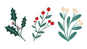Winter foliage floral elements set: white berry mistletoe, holly berry branch. Festive Christmas flowers clip art in simple hand drawn style isolated on white background. Vector illustration collection