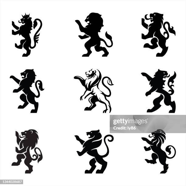 illustrations, cliparts, dessins animés et icônes de lions héraldiques - lion