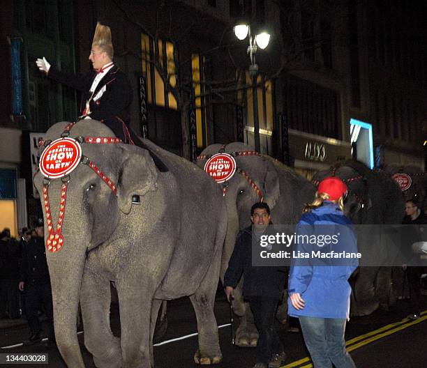 Comic Daredevil Bello Nock and the amazing elephant stars