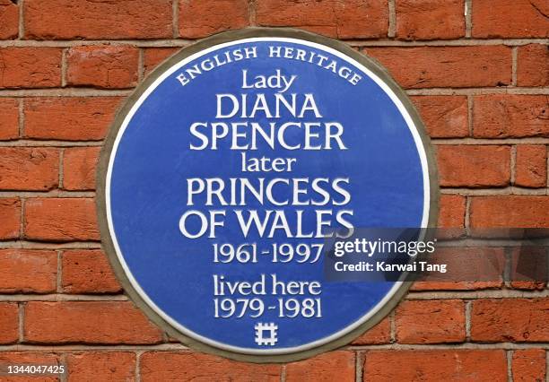 Stunning Discrod Plaque Mounted Cage Blue Flat image