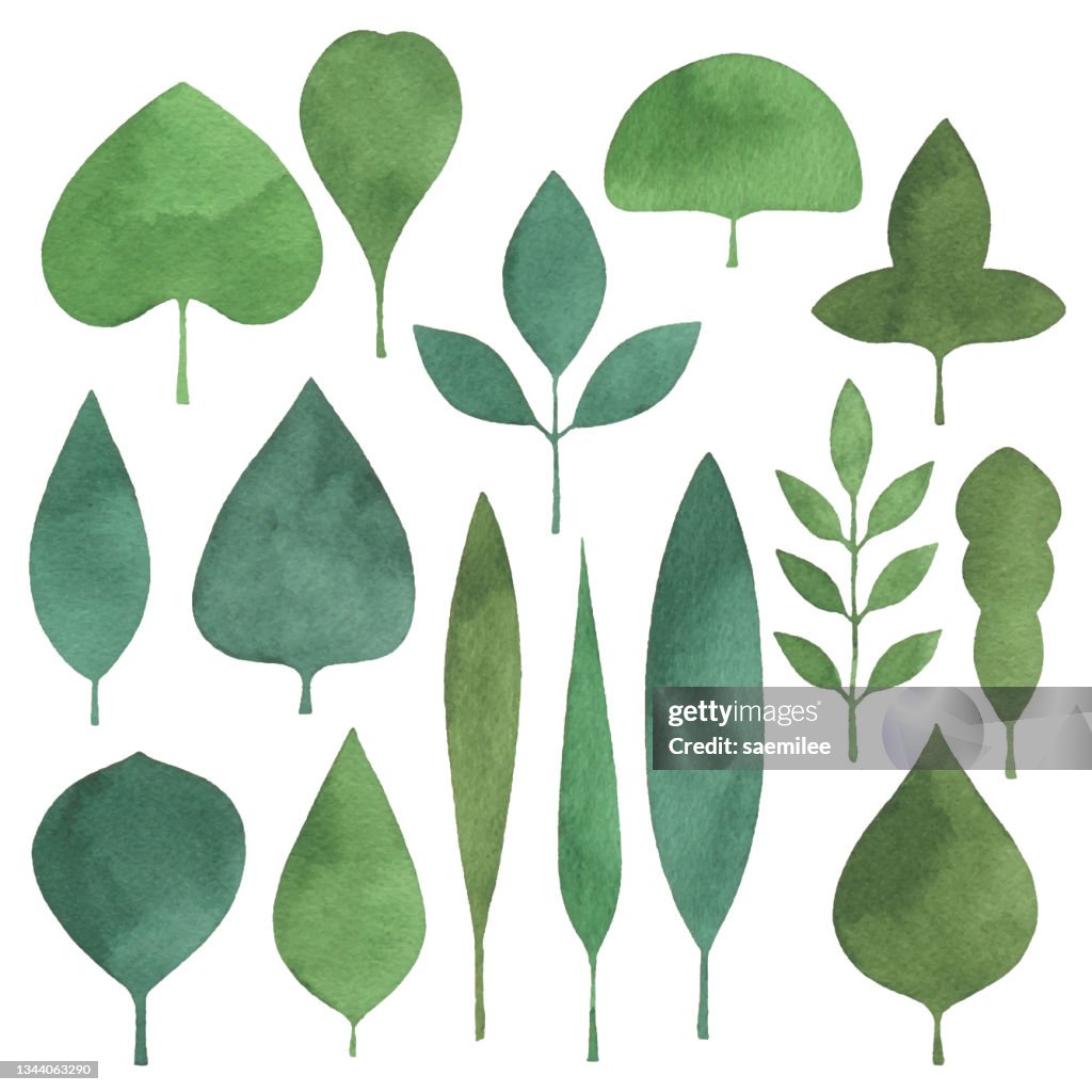 Watercolor Simple Green Leaves Set