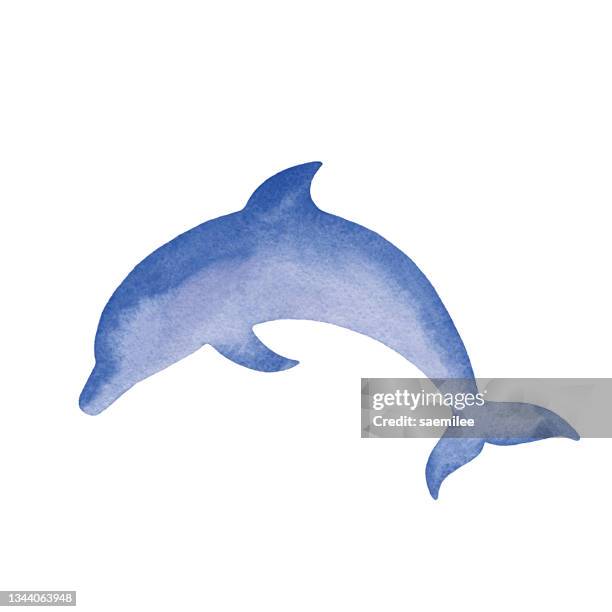 ilustrações, clipart, desenhos animados e ícones de ilustração de golfinho simples de aquarela - dolphins